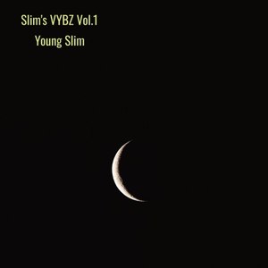 Slim's Vybz, Vol. 1