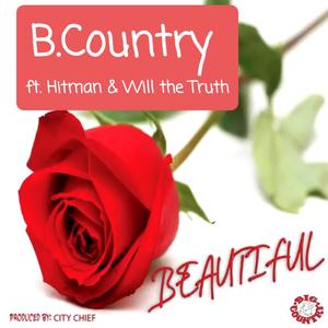 Beautiful(feat. Hitman & Will the Truth)
