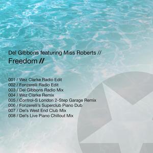 Del Gibbons - Freedom (feat. Miss Roberts) (Control-S London 2-Step Garage Remix)