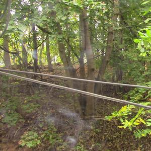 i think i finally learned my lessondemo (Explicit)