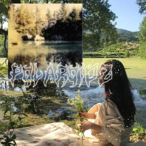 Polaroidz (Explicit)