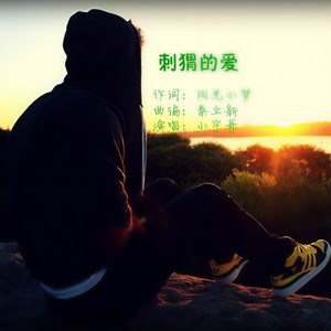 刺猬的爱