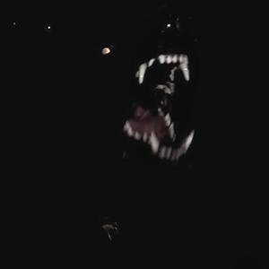 Dark Knights (feat. TheHxliday & Kpeets) (Explicit)