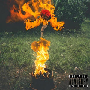 The Art of Burning Flowers (Explicit)