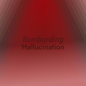 Bombarding Hallucination