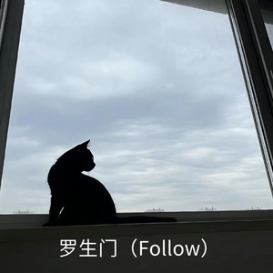 罗生门（Follow）
