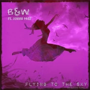 Flying to the Sky (Jeferson Hs Remix)