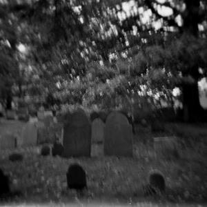 Internet(feat. Chris Moon & Fatbackbastard) (Explicit)