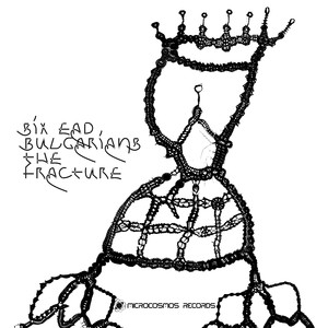 Six Dead Bulgarians - Internal Survey (Self-Questions)