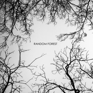 Random Forest