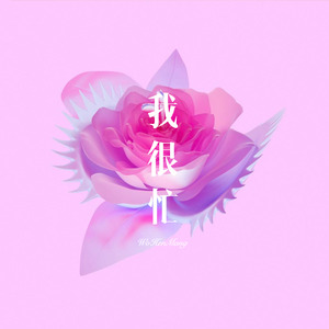 爱河-寐加岛&苏可可