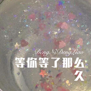 怪我把爱想得太完美 (Remix)