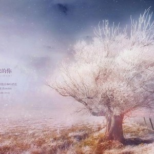 致细叙而来的你