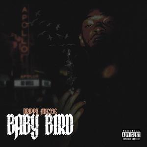 Baby Bird (Explicit)