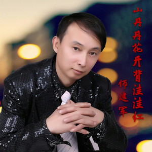 山丹丹花开背洼洼红