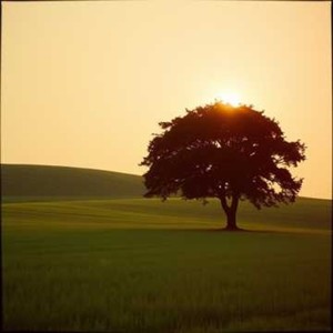 The Breadwinner - Papa