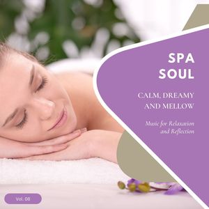 Spa Soul - Calm, Dreamy And Mellow Music For Relaxation And Reflextion, Vol. 08