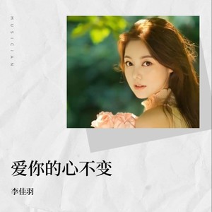 爱你的心不变 (DJ JL版)