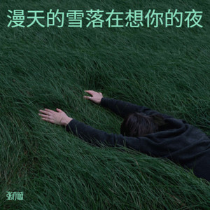 漫天的雪落在想你的夜