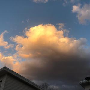 Totally True (Explicit)