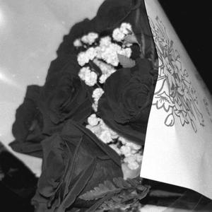 ILY (feat. Bands B, Duke10kk & Ace G) (Explicit)