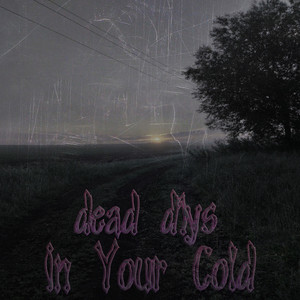 In Your Cold (Explicit)