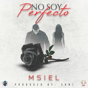 No Soy Perfecto