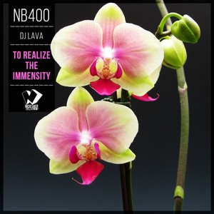 To Realize the Immensity (Original Mix)