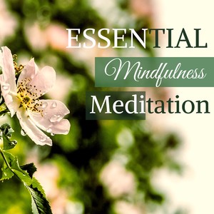 Essential Mindfulness Meditation - Sentimental Piano Meditation Music for Lazy Days