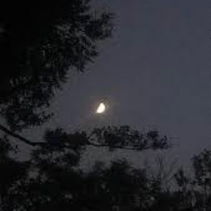 Siempre gano (Explicit)