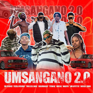 Umsangano 2.0