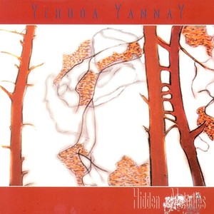 YANNAY, Y.: Hidden Melody / 5 Pieces / Im Silberwald / At the End of the Parade (Yannay)