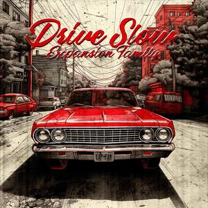 Drive Slow (Special Version) [Explicit]