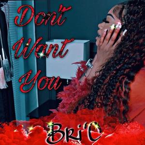 Dont Want You (Explicit)