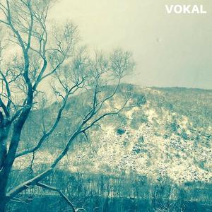 Vokal (Deluxe Reissue)