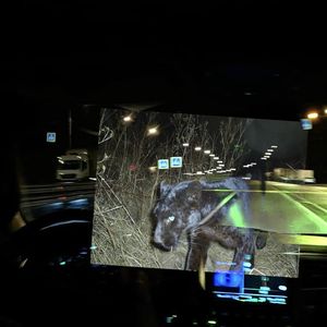 Bad Taste (Explicit)