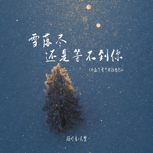 雪落尽还是等不到你 (外面下雪了我很想你)