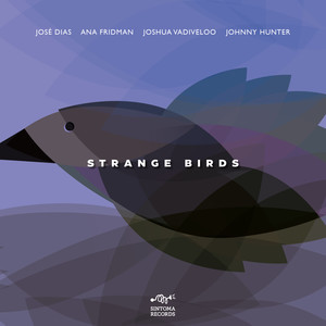 Strange Birds