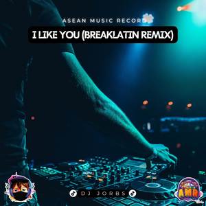 I Like You (Breaklatin Remix)