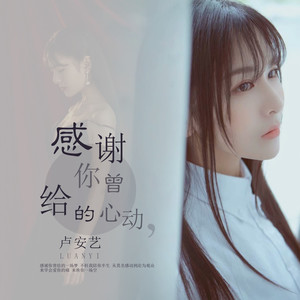 感谢你曾给的心动 (DJ凯利版)