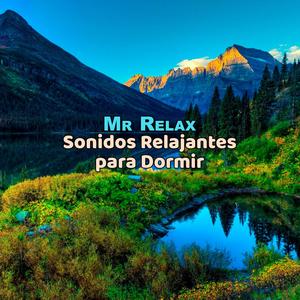 Sonidos Relajantes Para Dormir