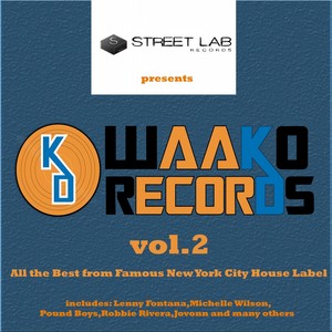 Streetlab presents The Best of Waako Records Vol.2