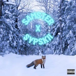 Stone Cold Fox(feat. SypSki) (Explicit)