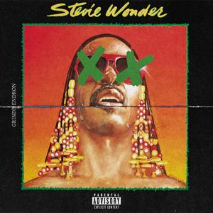 STEVIE WONDER (Explicit)