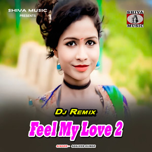 Feel My Love 2 (DJ Remix)