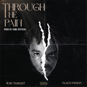 Through The Pain (Explicit)