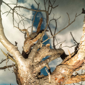 Birnenbaum, Pt. 2