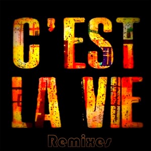 C'est La Vie (Mash Up Remix)