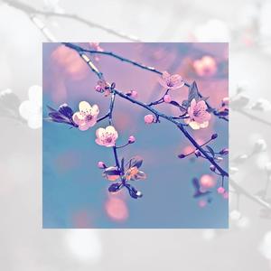 KAIRI. (feat. SHINSEI)