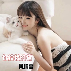 你给我的痛 (伴奏)